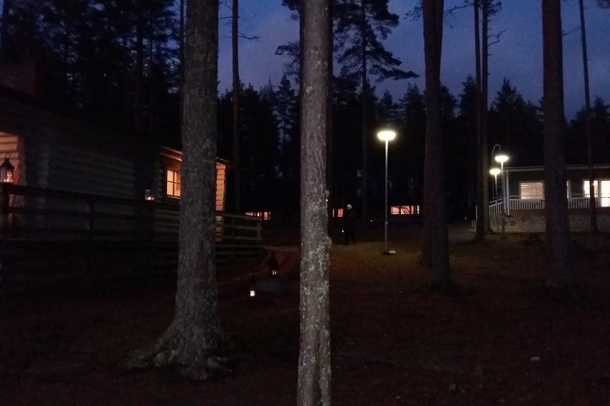 sururyhmä