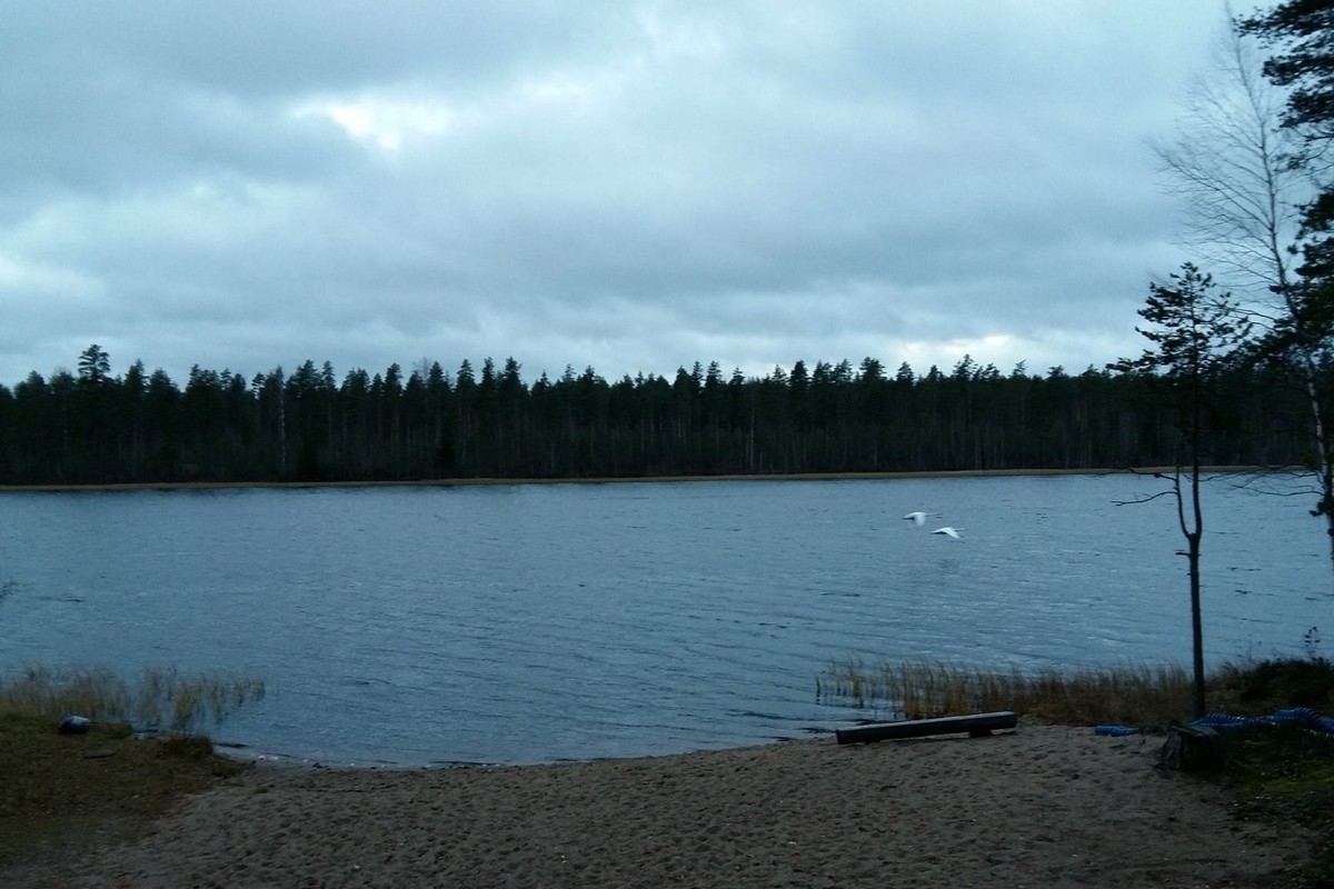 järvi