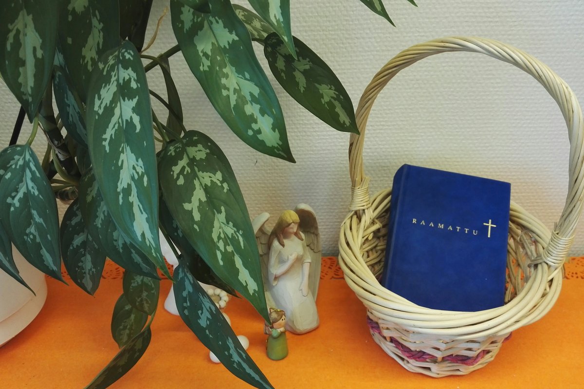 Raamattu, enkelit, kukka